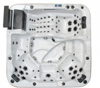 Спа бассейн Fonteyn Spas Bright Спа бассейн Fonteyn Spas Bright